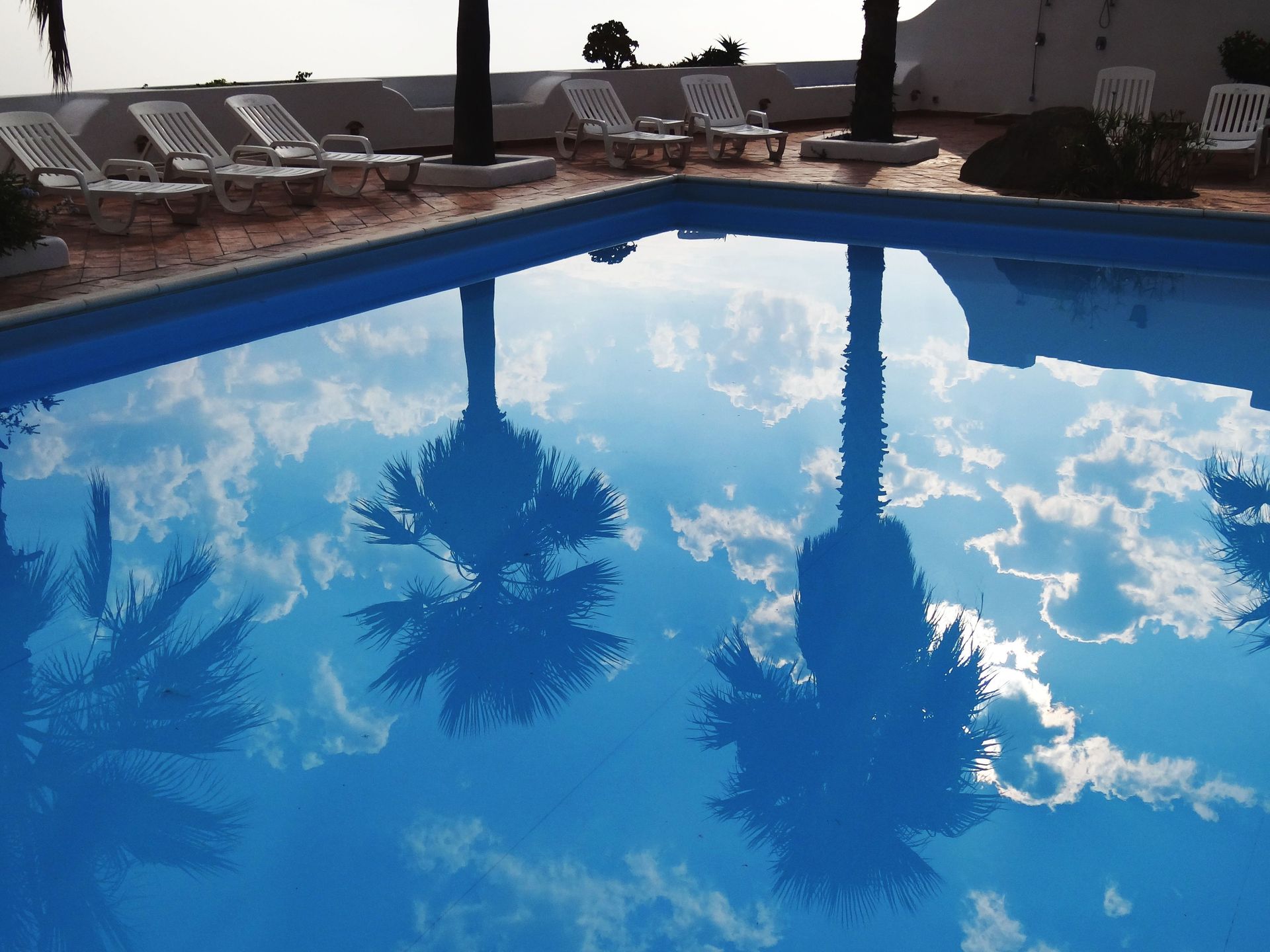 Peaceful poolside with palm tree reflections in clear blue water.