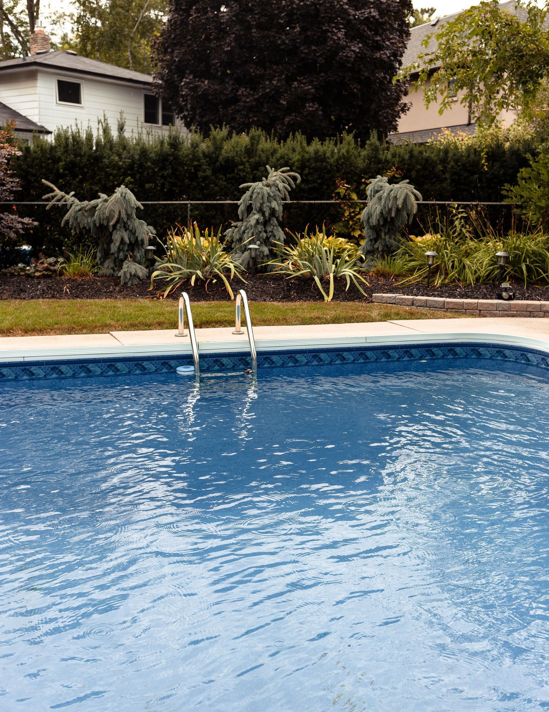 Crystal clear blue water in swimming pool in private yard with exotic green plants on sunny summer day